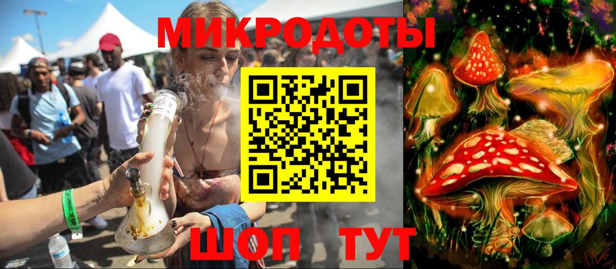 Псилоцибиновые грибы Psilocybe Урюпинск